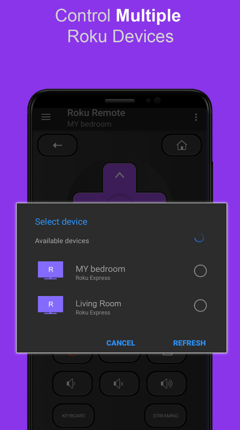 Roku Remote